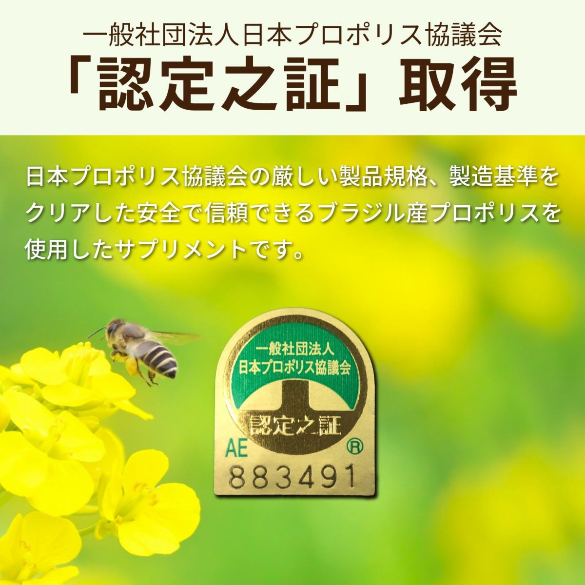 一般社団法人日本プロポリス協議会「認定之証」取得。日本プロポリス協議会の厳しい製品規格、製造基準を クリアした安全で信頼できるブラジル産プロポリスを 使用したサプリメントです。