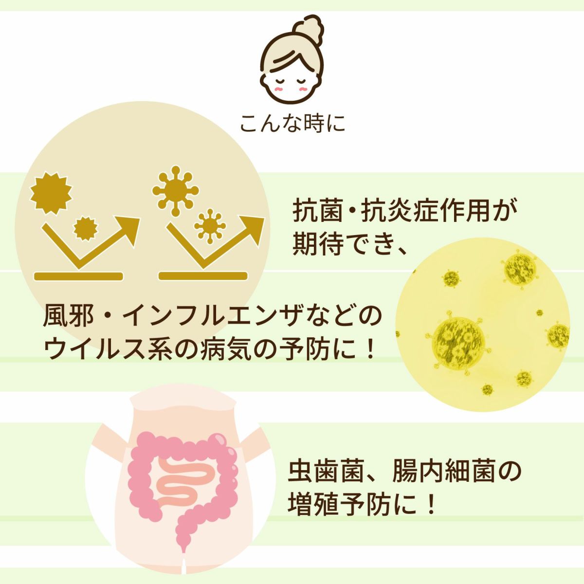 抗菌・抗炎症作用が期待でき、風邪・インフルエンザなどのウイルス系の病気の予防に。