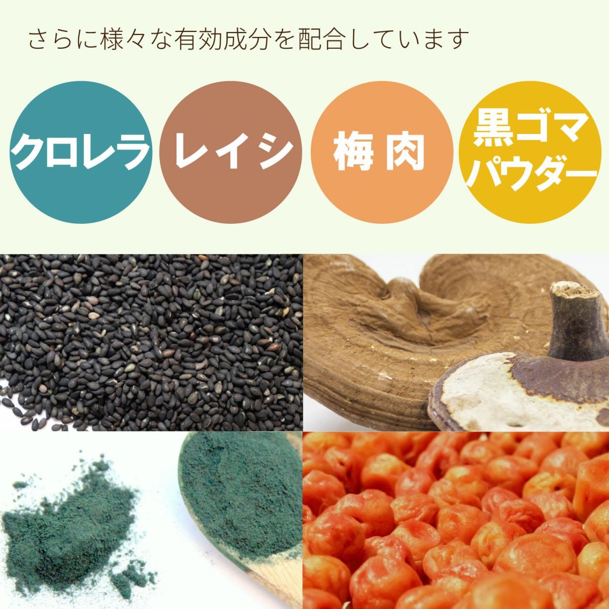 様々な有効成分を配合しています。クロレラ、レイシ、梅肉、黒ゴマパウダー。