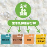 炭水化物やタンパク質、脂質、セルロース、乳糖などを生きた酵素が分解